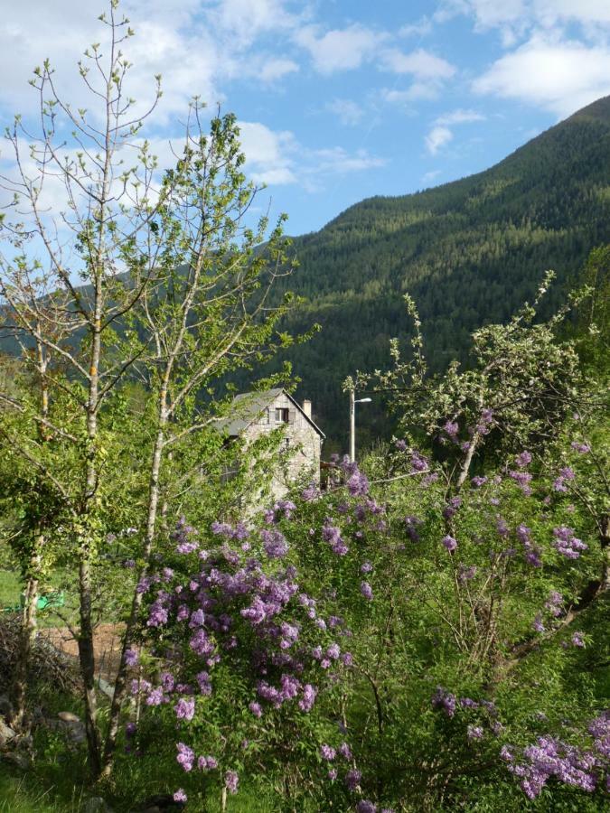Saint-Étienne-de-TinéeLa Cerisole公寓 外观 照片